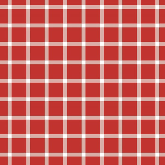 Red Gingham - Squish Fabric - Indy Bloom